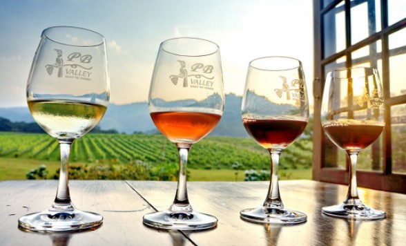 カオヤイワイナリー巡り　PBワイナリー + グランモンテワイナリーでテイスティング